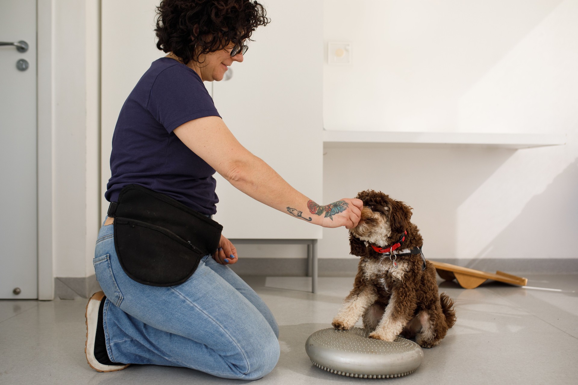 Woman training a dog with bosu
