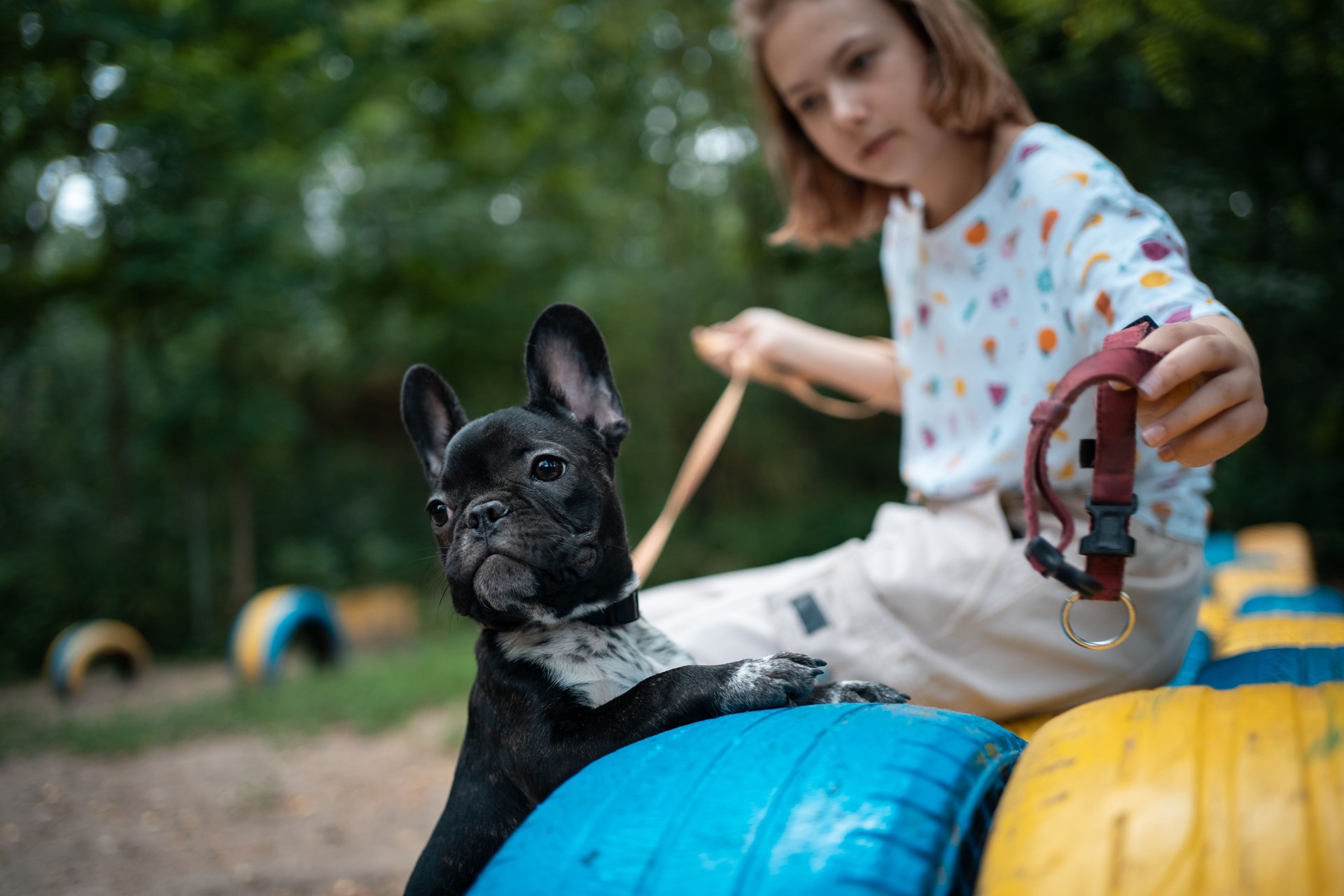 girl play with cute little frenchie bulldog puppy in park at summer day